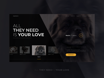 Adoption Dog LP adoption design landing page ui ui design ux website