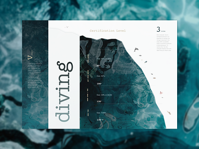 Diving School landing page typography ui uidesign ux