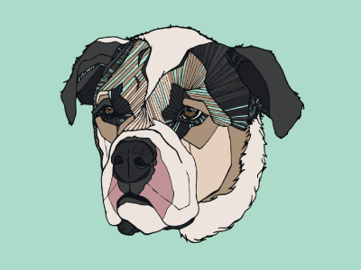 Buddha the Mutt adobe calm dog i love my dog illustration illustrator line work mutt pen and ink pet portrait