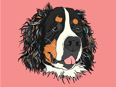 Mountain Dog animal bernesemountaindog colorful dog graphics mountaindog penandink pet custompetportrait