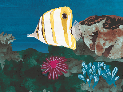 Corals animal art book books children design digital drawing illustration