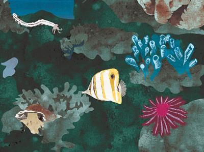 Corals animal art book books children digital digitalart illustration nature