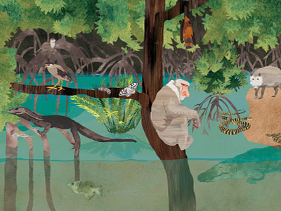 The Mangrove forest animal art book character children digital digitalart drawing illustration nature