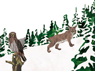 The Lynx animal art book books character children digital eagle illustration lynx nature