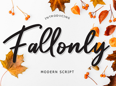 Fallonly Modern Script Font abc calligraphy creative design design font lettering modern script script font typography