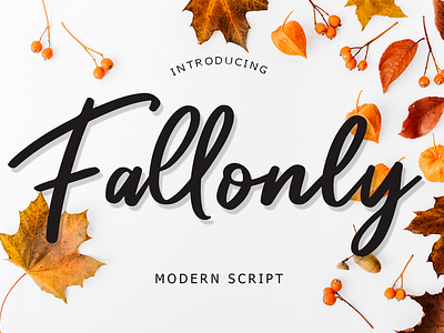 Fallonly Modern Script Font