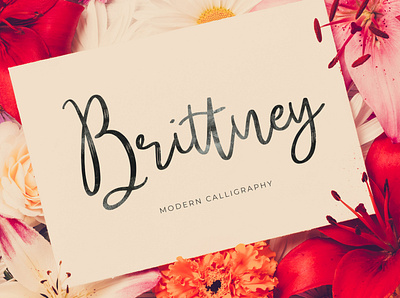 Brittney Font calligraphy font free handlettering handwritten lettering script font typography