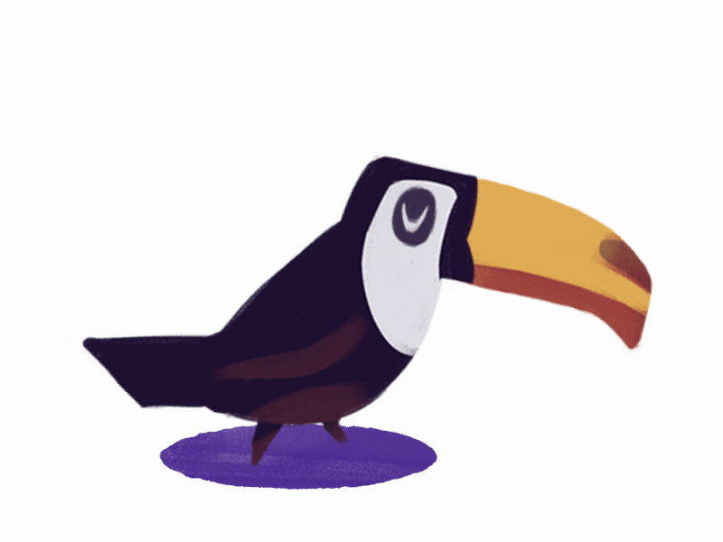 Toucan 2d ae after effects animation character gif loop motion motion design