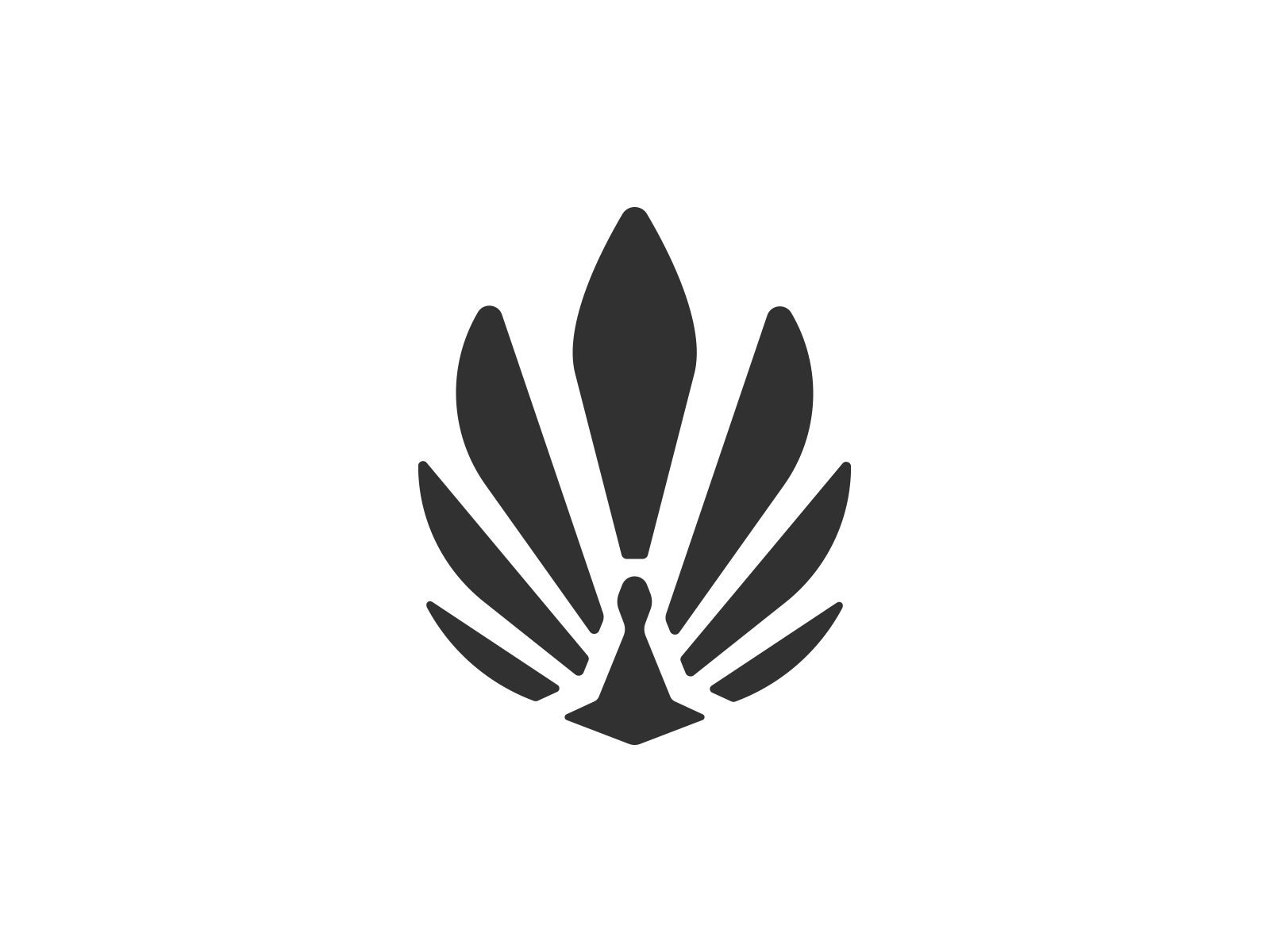 Peacock Logo Concept #2 by Rémi Sirol on Dribbble