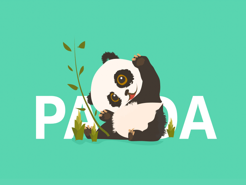 Panda design gif green illustration panda pinda story