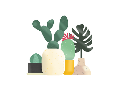 Plants & ceramics 2 cactus design flat gradient graphic illustration illustrator jungle monstera plant texture vector