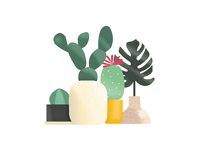Plants & ceramics 2