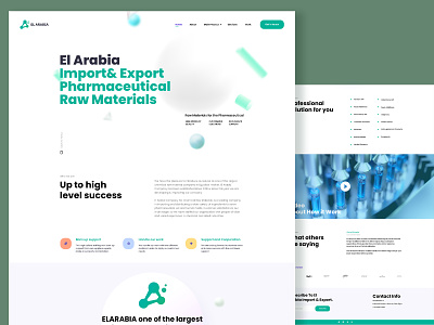 EL ARABIA 3d graphic design landing page medical site ui ux webdesign webdesigner webdeveloper