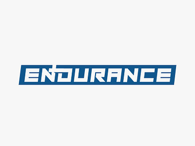 Endurance brand branding brilliant design flat graphic icon illustration typography vector web