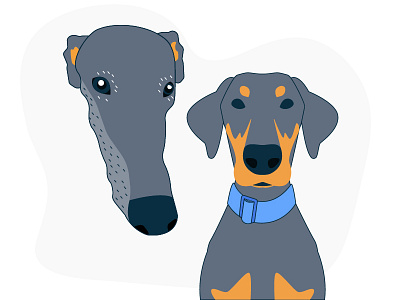 Greyhound and Doberman