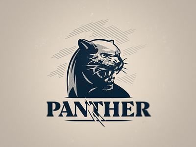 Florida Panthers designs, themes, templates and downloadable graphic  elements on Dribbble