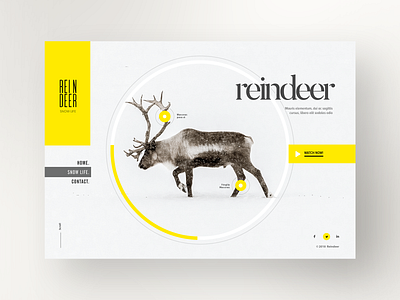 Reindeer Snow Life : Website Design clean creative design light minimal typography web website