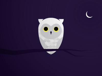 Superb Owl illustrator owl vector