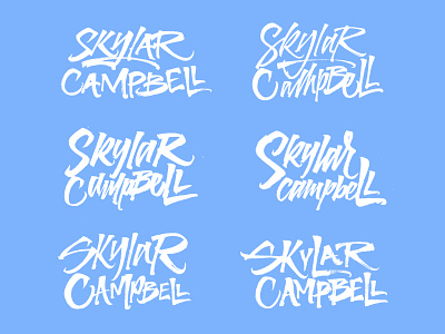 Skylar Campbell brushpen calligraphy lettering lettering logo logo typography