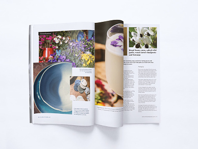 Carousel Magazine 2 brochure chefs dining graphic design magazine printing