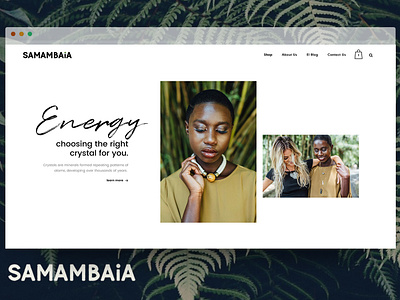 The Samambaia E-shop design logo ux web design website