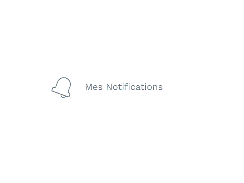 Notifications animation