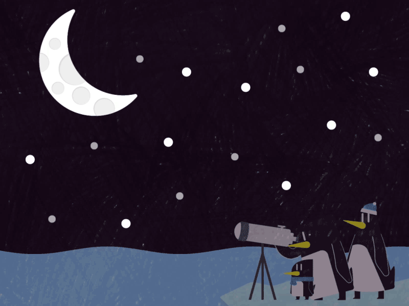 Day 17 - Star Gazing 2d after effects animated animation moon motion penguins rigging shooting star space star gazing stars