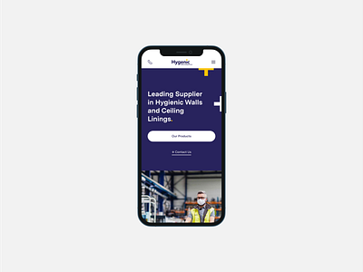 Hygenic - Website Design | 02