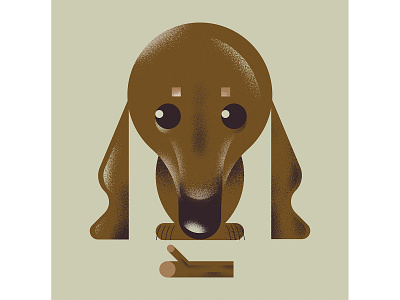 dachshund animal dachshund dog dogs illustrator photoshop texture