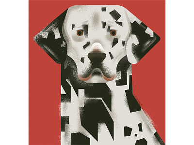 dalmatian animal dalmatian dog illustration illustrator photoshop texture