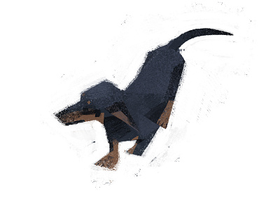 dachshund dachshund dog texture