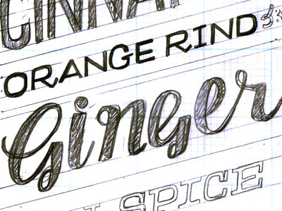 Spices II by hand fun holiday lettering personal sketch spices