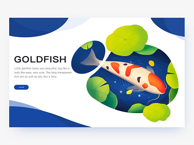 Goldfish ui ux 插图 设计
