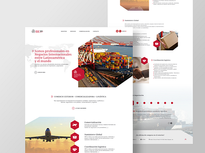 DSF 88 commerce imports mexico planetoide ui web webdesign website worldwide