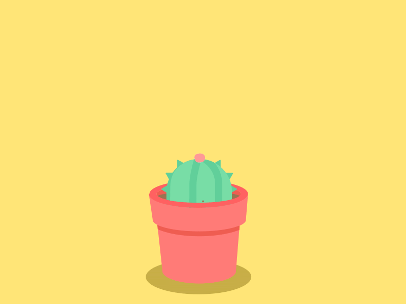 Cactus effect