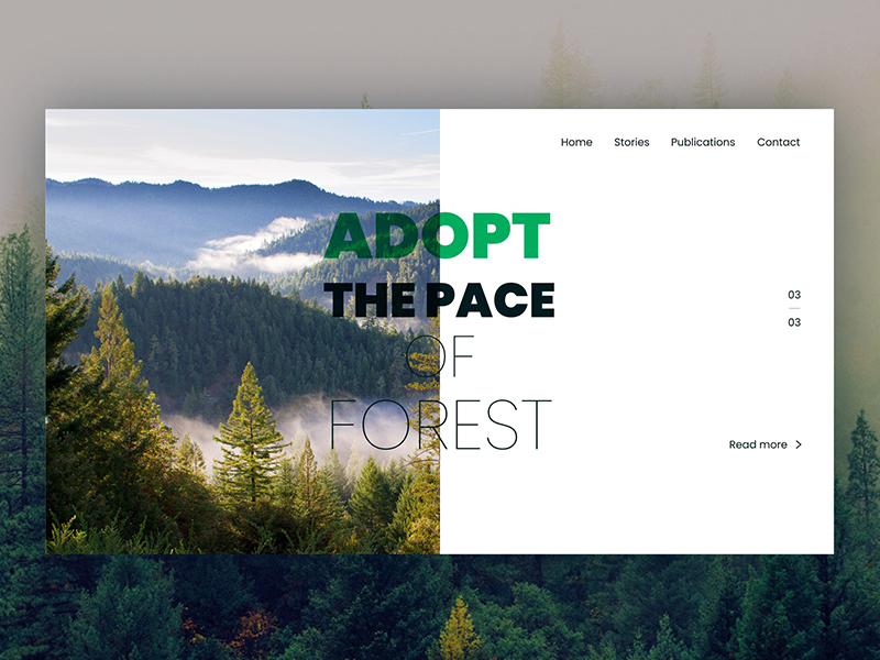 Website Design by Deena Babu on Dribbble