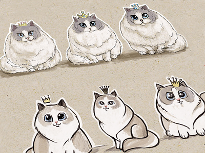 Sketches of Aurora Purr cat animal cartoon cat concept fluffy graphic illustration photoshop princess toned