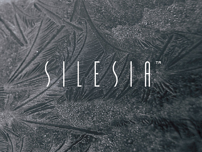 Silesia logo cold fridge frost silesia śląsk