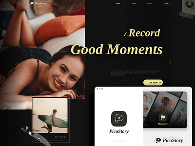 PicaStory branding dark ui logo ui vector