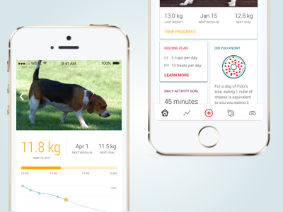 UI for a pet health app health pet