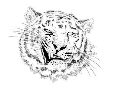 Line tiger line sketch tiger