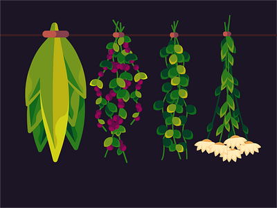 Herbs 2d apothecary art design digital illustration dribbble flat halloween herbs illustration magical herbs magick occult vector witchcraft