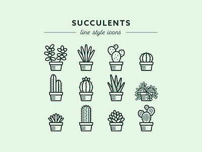 Succulents Icon Set digital art digital illustration icon pack icon set icons illustration line style