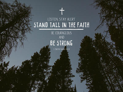 Be Strong courageous faith forest god photography strong trees verse word