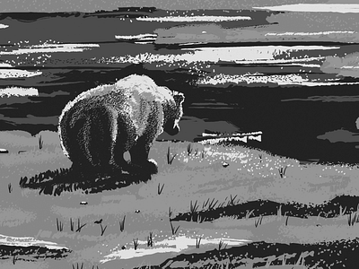 Bear bear digital grizzly illustrator nature outdoor painting