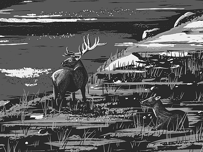 Elk digital elk illustration illustrator mountains nature painting river vector