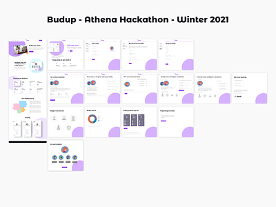 Budup! - Athena Hackathon - Winter 2021 branding interface landing page ui website