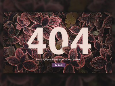 Page 404 404 background daily ui error ui web