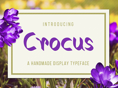 Crocus Free Typeface design download font fonts free freebie freebies graphic icons portfolio themes typefaces