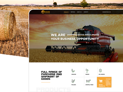 Equis Agro Group - trade company brand branding design dribbble logo mobios web website